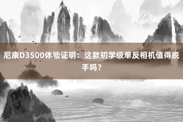 尼康D3500体验证明：这款初学级单反相机值得脱手吗？